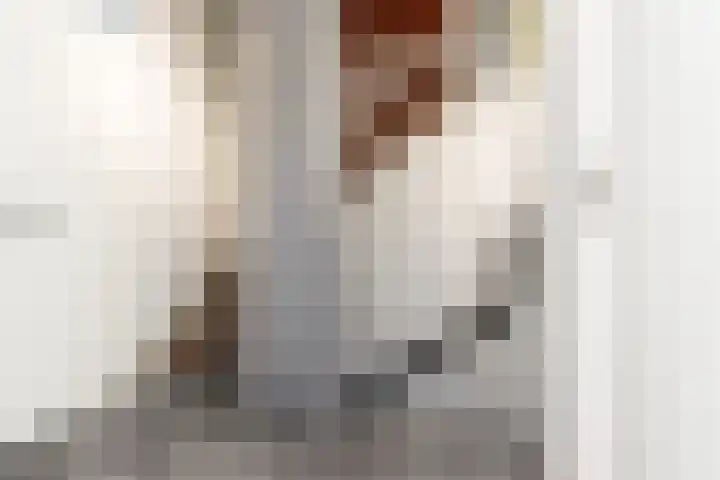 Aart van Osstraat 3 Zuilichem thumbnail 21