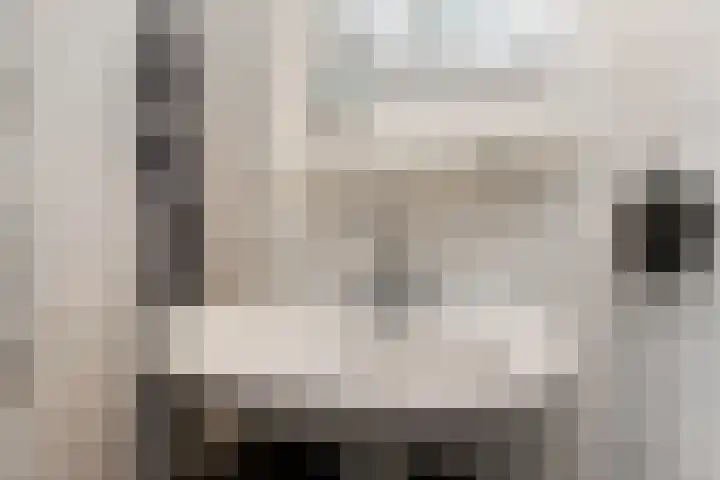Aart van Osstraat 3 Zuilichem thumbnail 31