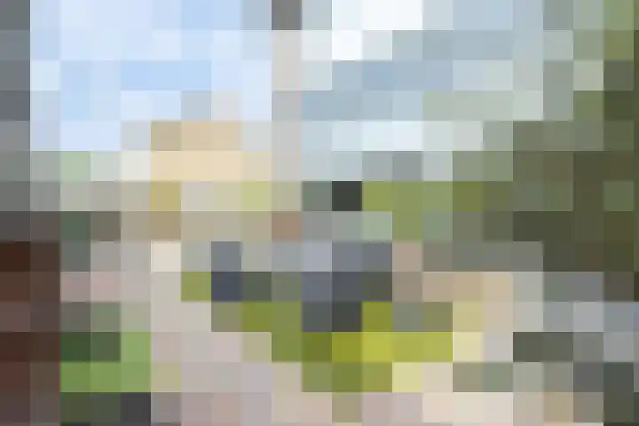 Aart van Osstraat 3 Zuilichem thumbnail 40