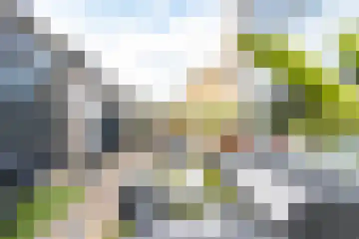 Aart van Osstraat 3 Zuilichem thumbnail 41