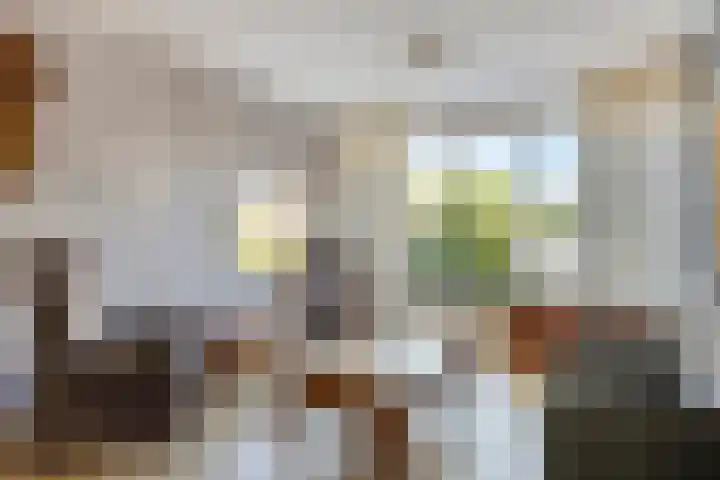 Aart van Osstraat 9 Zuilichem thumbnail 10