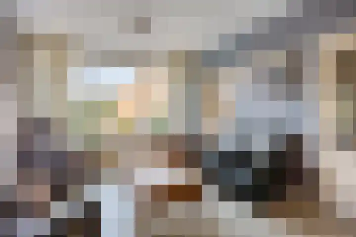 Aart van Osstraat 9 Zuilichem thumbnail 11