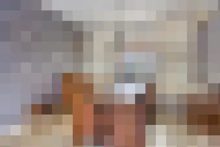 Aart van Osstraat 9 Zuilichem thumbnail 12