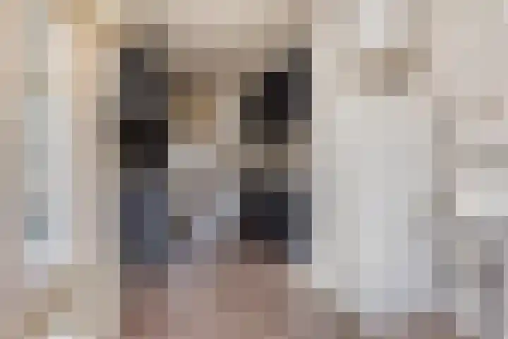 Aart van Osstraat 9 Zuilichem thumbnail 20