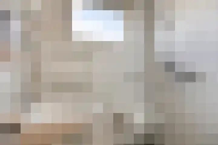 Aart van Osstraat 9 Zuilichem thumbnail 29