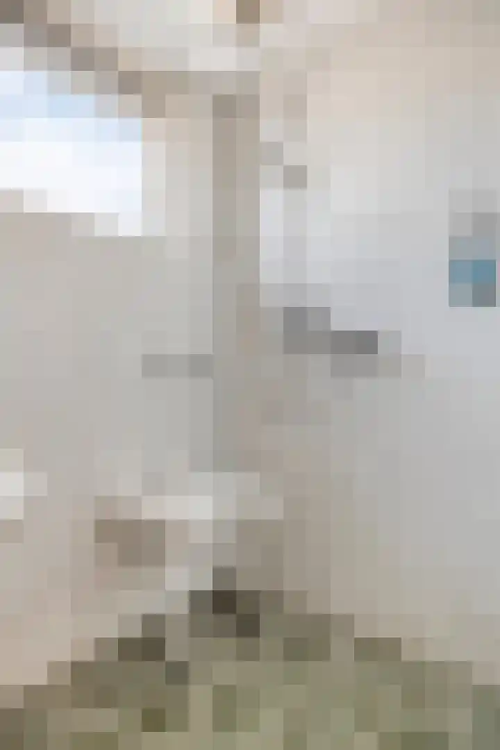 Aart van Osstraat 9 Zuilichem thumbnail 30