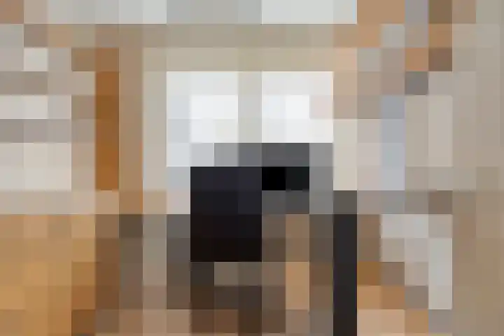 Aart van Osstraat 9 Zuilichem thumbnail 34