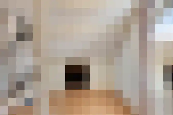 Aart van Osstraat 9 Zuilichem thumbnail 36