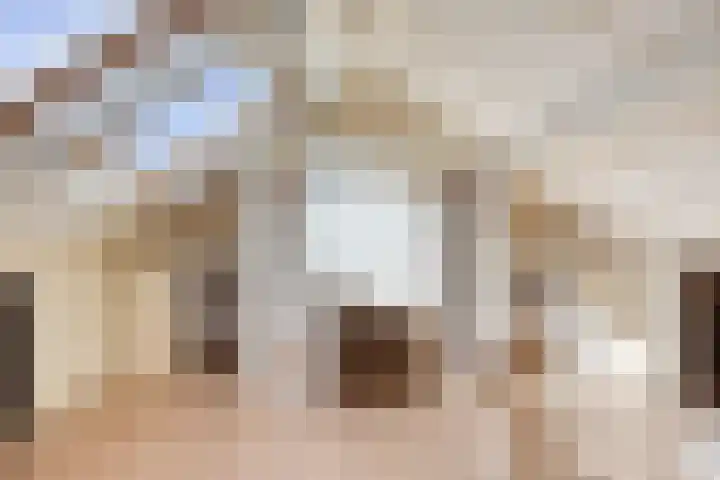 Aart van Osstraat 9 Zuilichem thumbnail 37