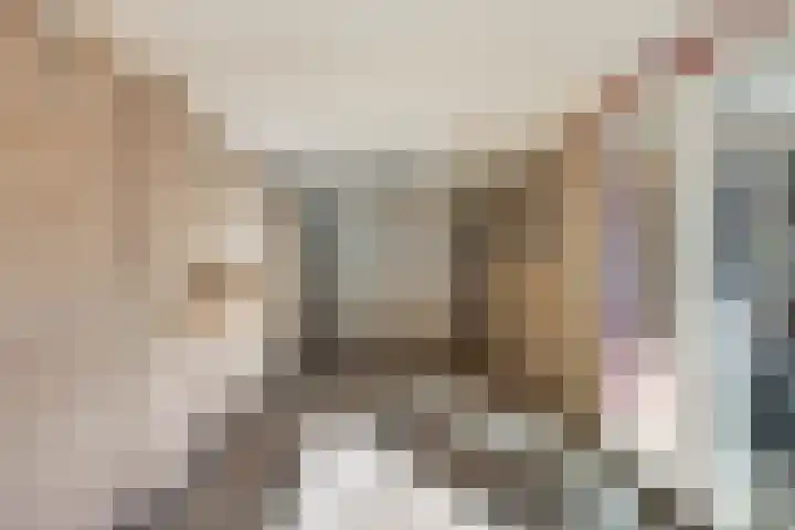 Aart van Osstraat 9 Zuilichem thumbnail 39