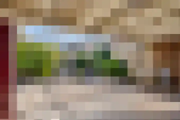 Aart van Osstraat 9 Zuilichem thumbnail 40