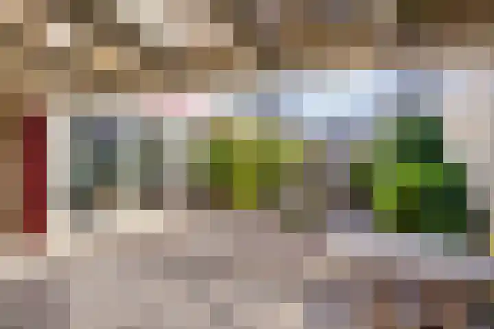 Aart van Osstraat 9 Zuilichem thumbnail 41