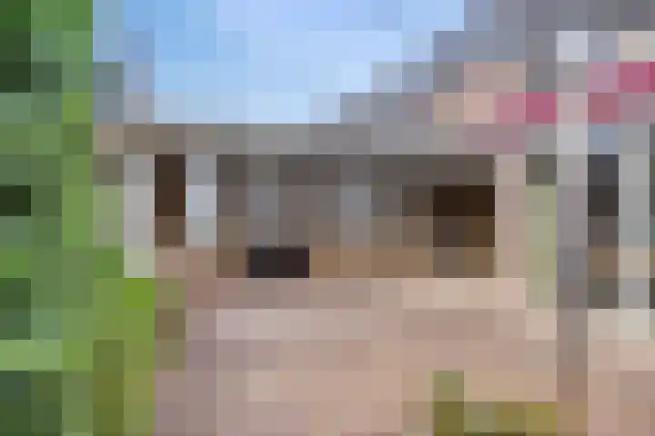 Aart van Osstraat 9 Zuilichem thumbnail 42