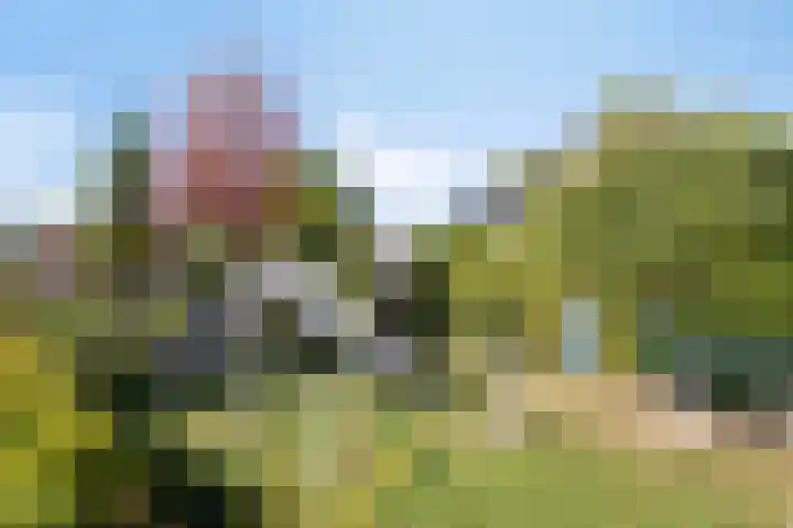 Aart van Osstraat 9 Zuilichem thumbnail 44