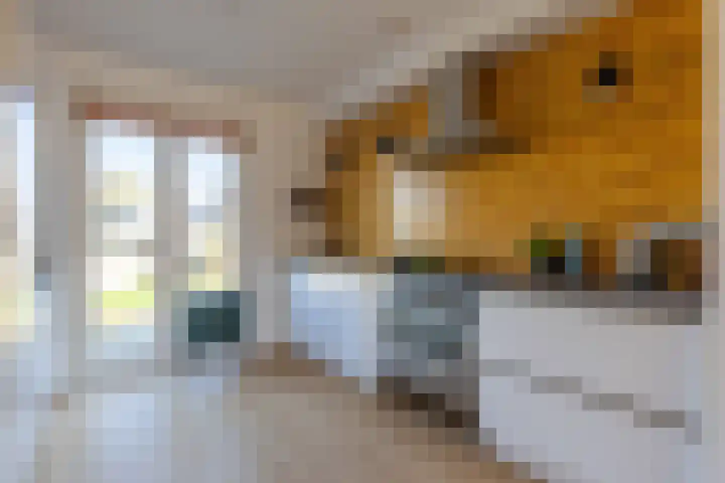 Aartje de Voseiland 32 Weesp thumbnail 4