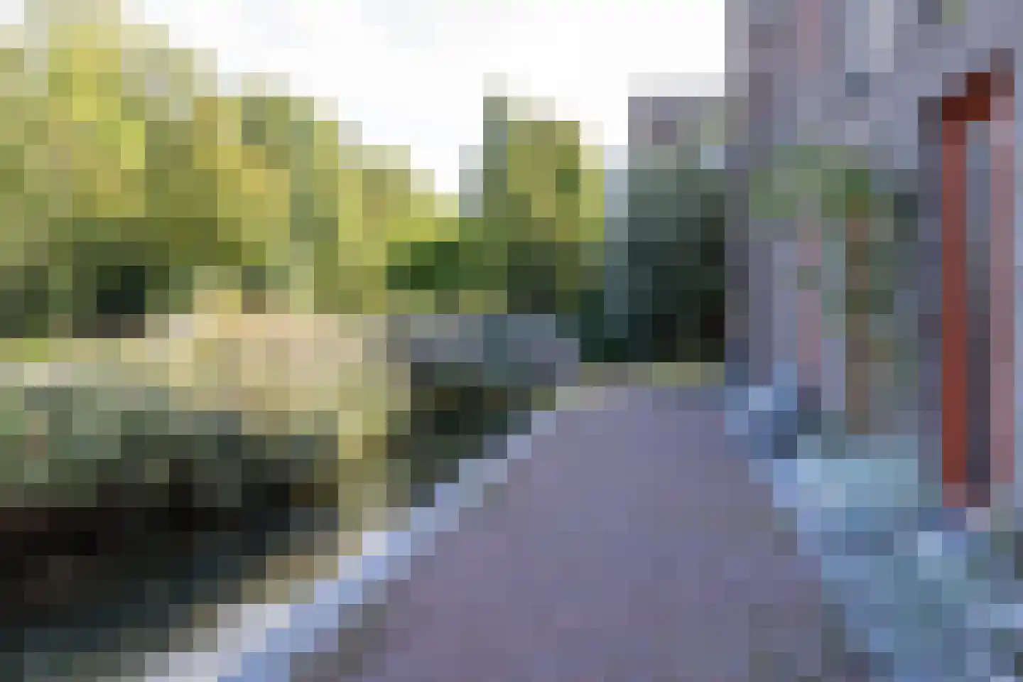 Aartje de Voseiland 44 Weesp thumbnail 45