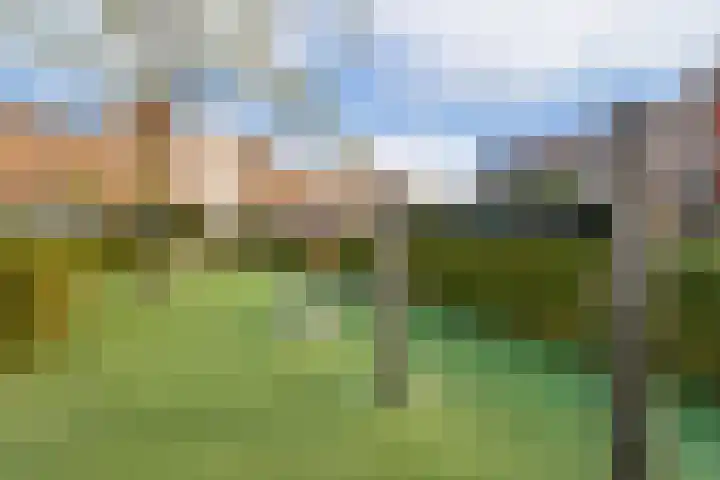 Aartje de Voseiland 45 Weesp thumbnail 30