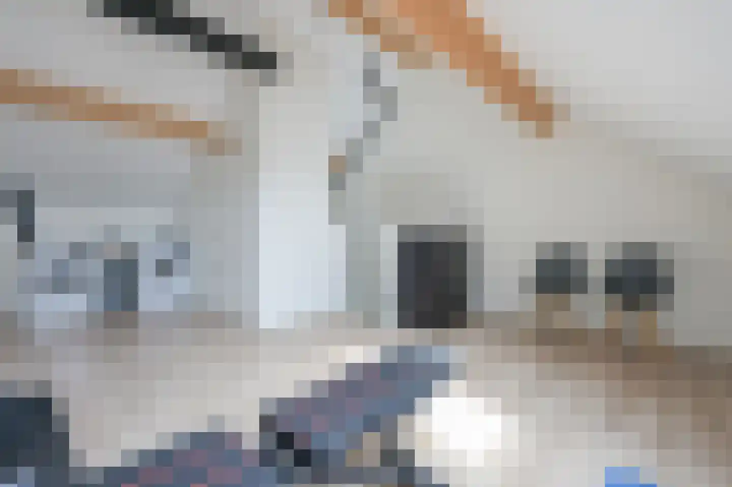 Aartje Simonstraat 16 Putten thumbnail 27
