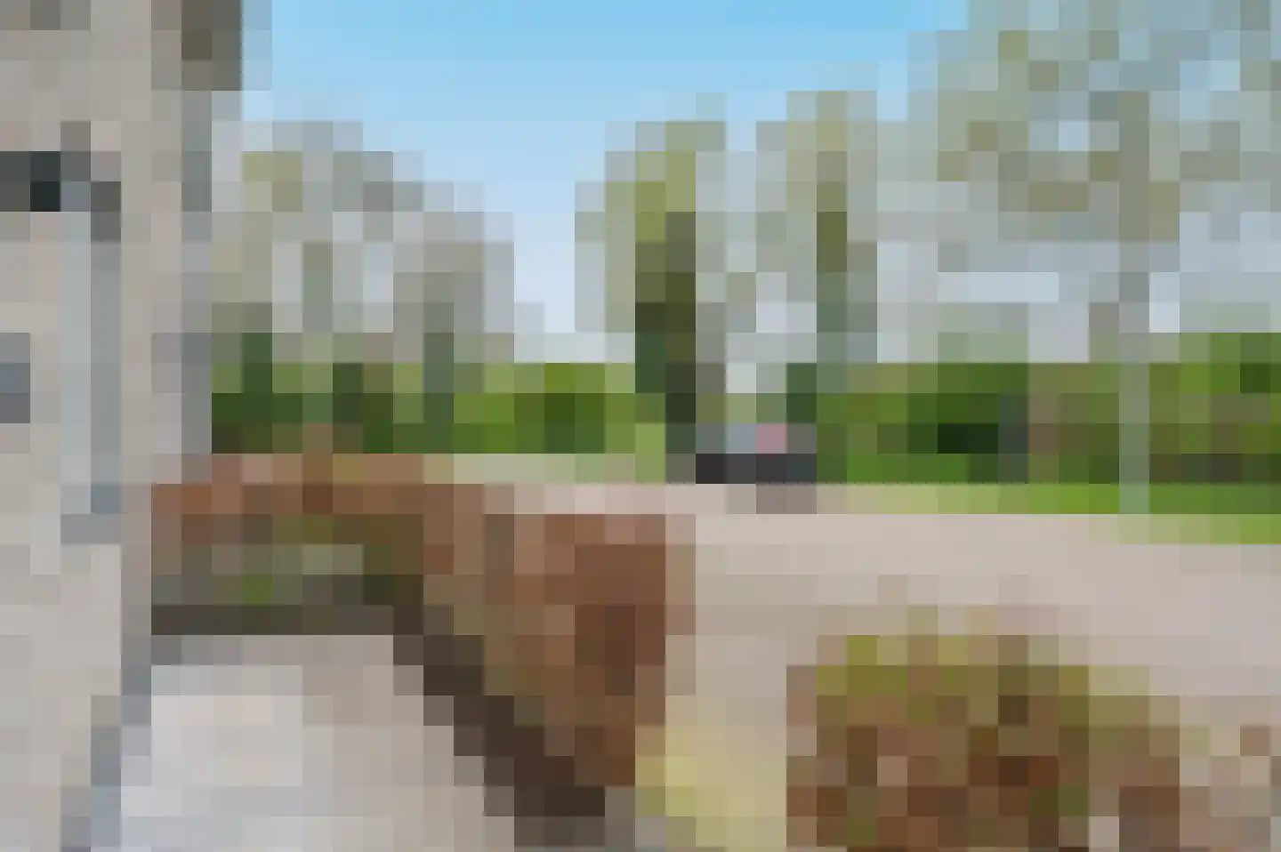 Aartje Simonstraat 16 Putten thumbnail 5