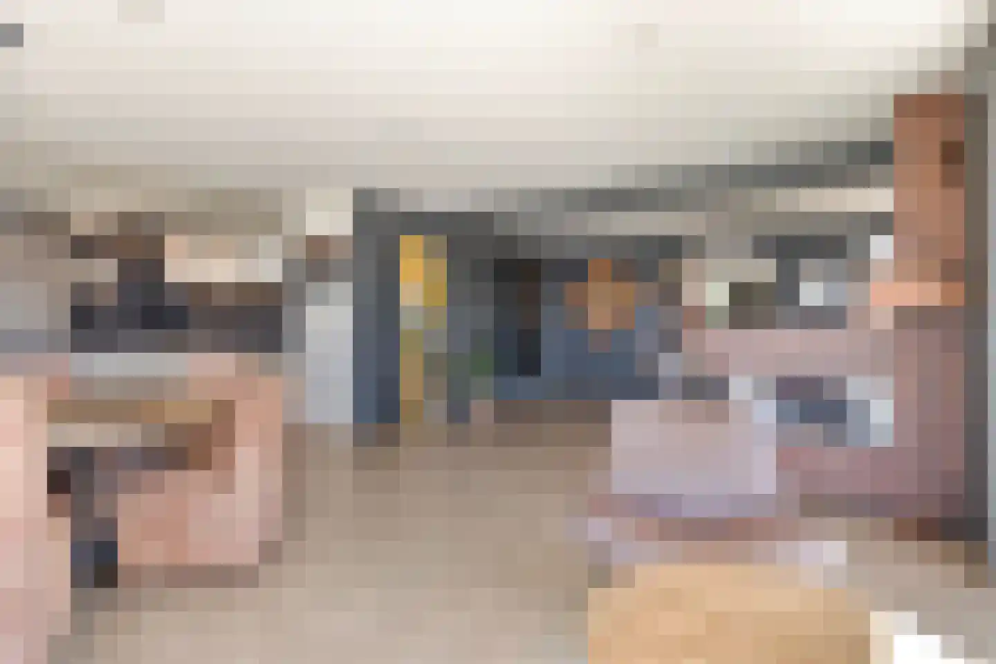 Aartjeskreek 16 Goes thumbnail 11