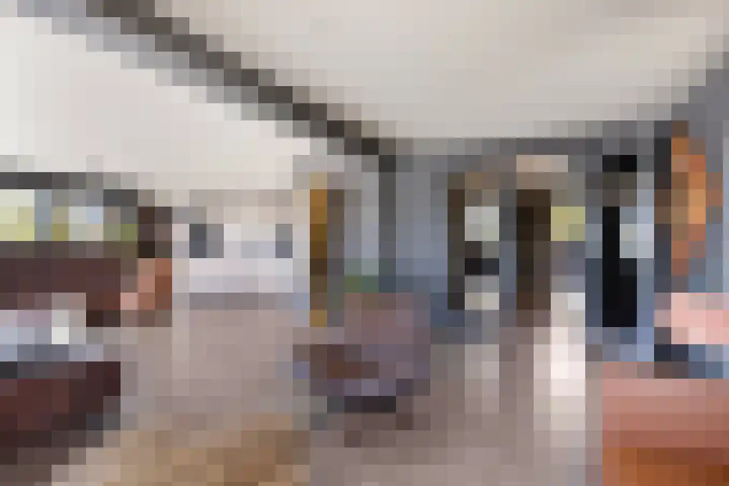 Aartjeskreek 16 Goes thumbnail 15