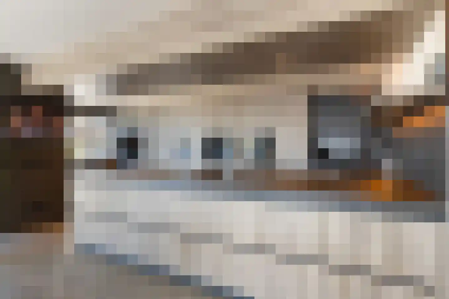 Aartjeskreek 16 Goes thumbnail 24