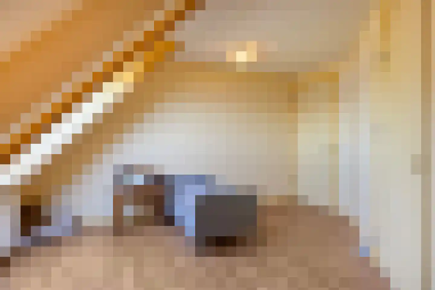 Aartjeskreek 16 Goes thumbnail 38