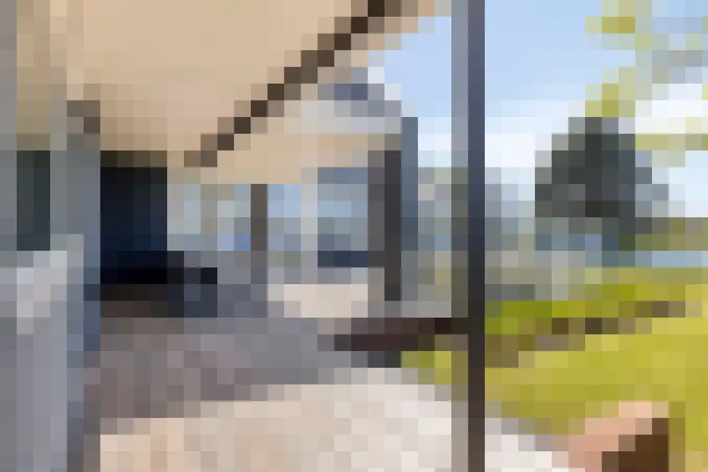 Aartjeskreek 16 Goes thumbnail 59