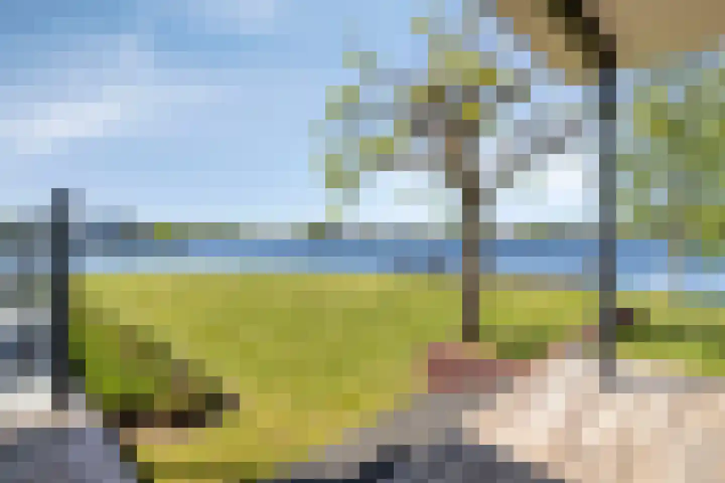 Aartjeskreek 16 Goes thumbnail 62