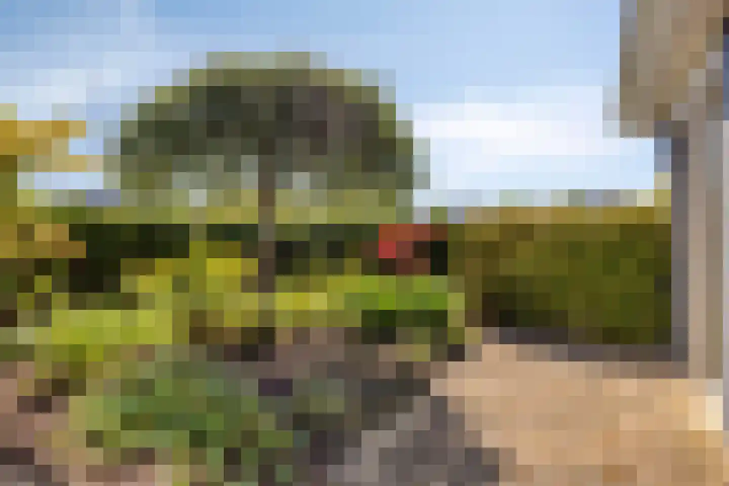 Aartjeskreek 16 Goes thumbnail 75