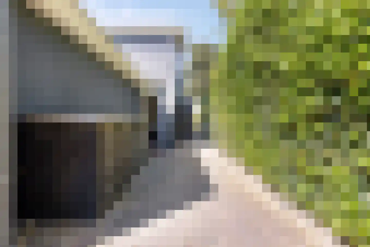 Aartjeskreek 16 Goes thumbnail 77