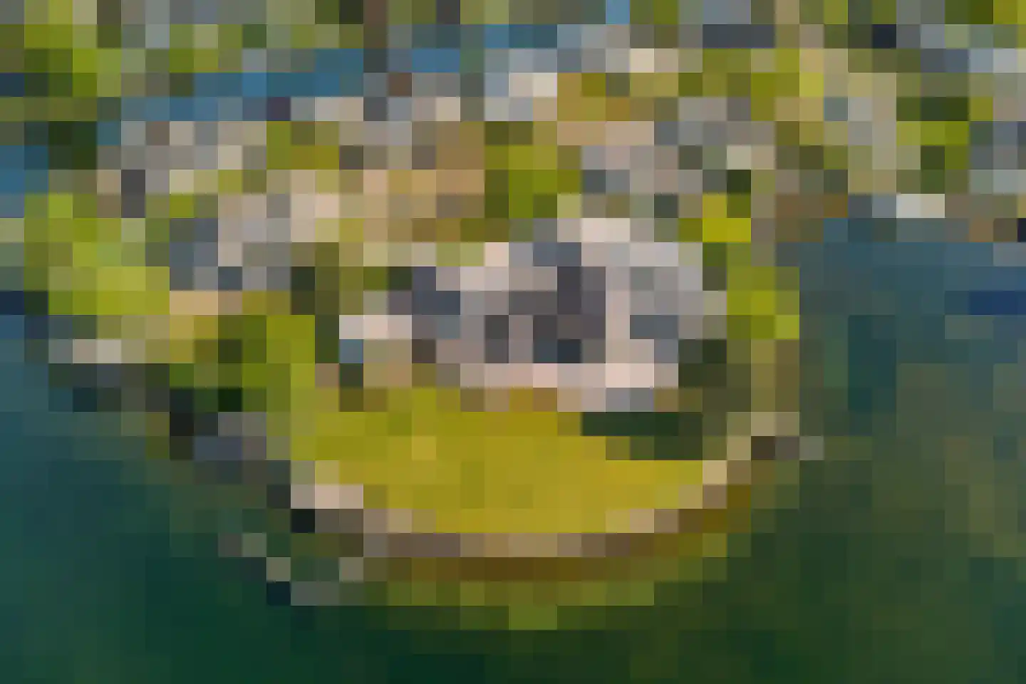 Aartjeskreek 16 Goes thumbnail 82