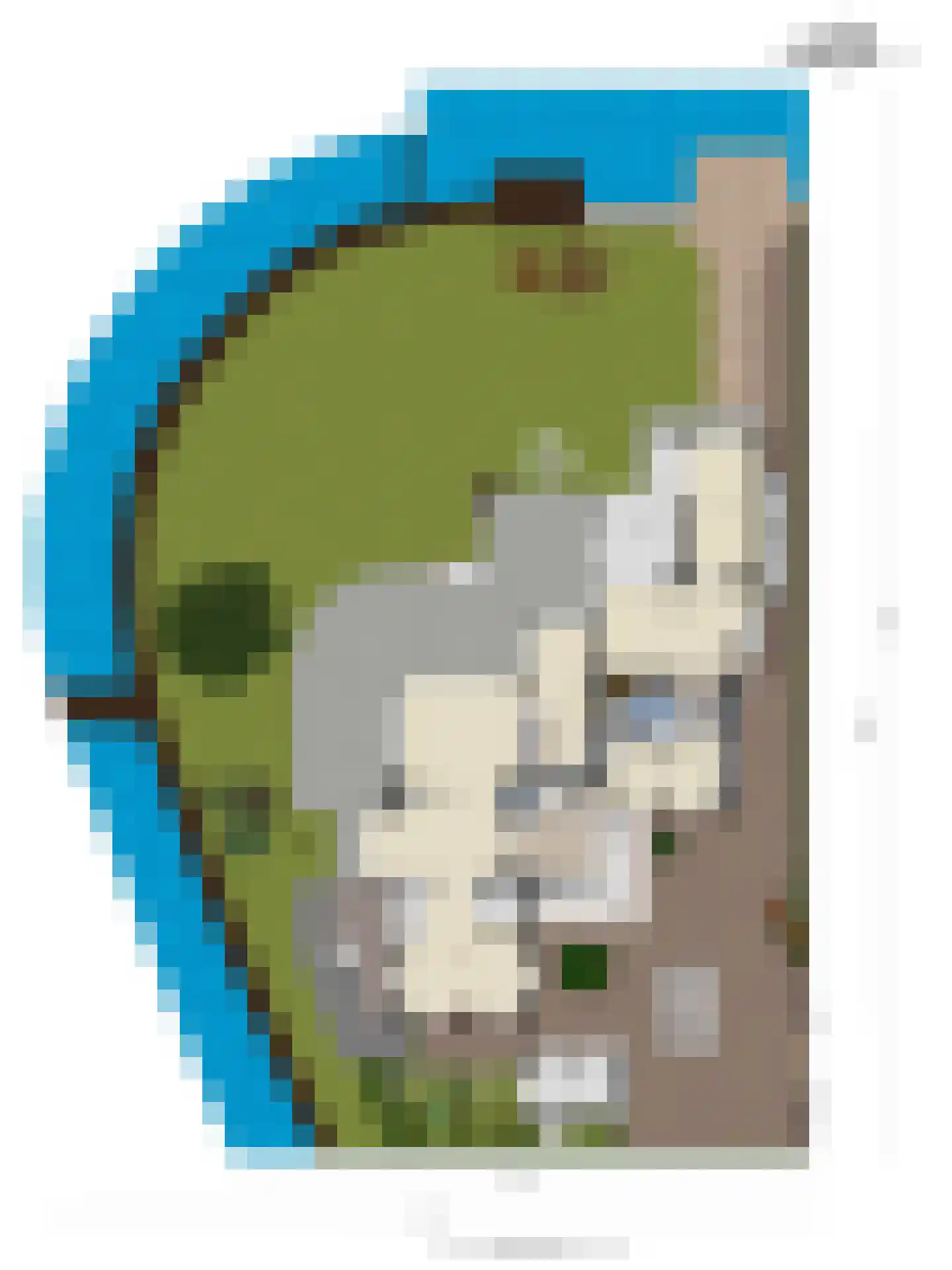 Aartjeskreek 16 Goes thumbnail 87