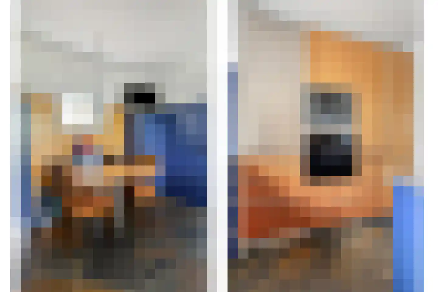 Aartjeskreek 18 Goes thumbnail 22