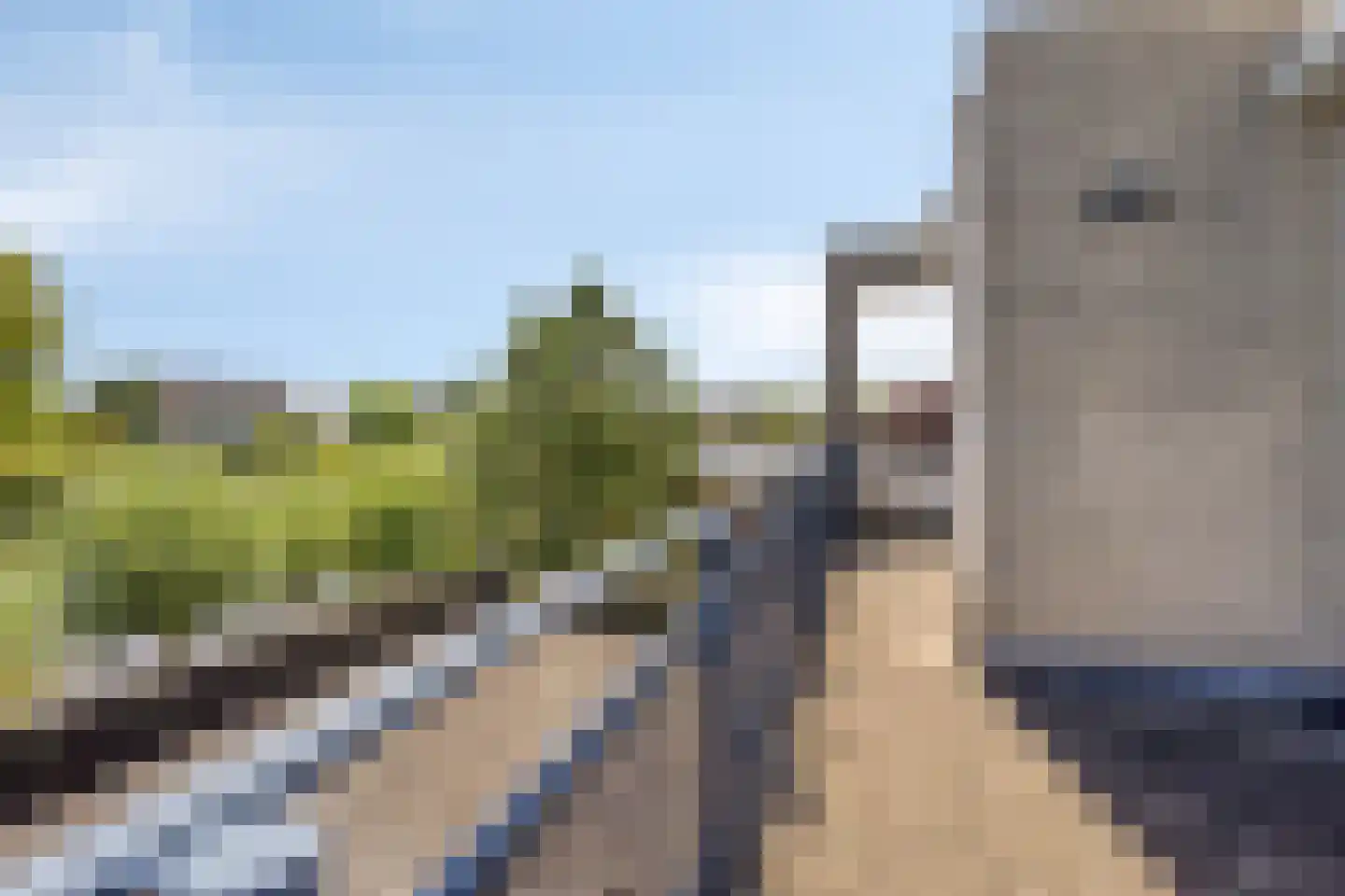 Aartjeskreek 18 Goes thumbnail 36