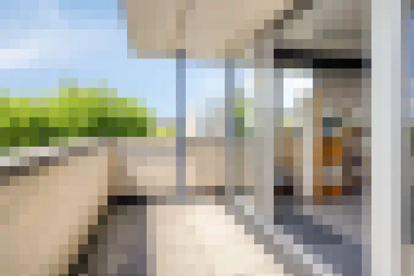 Aartjeskreek 18 Goes thumbnail 46