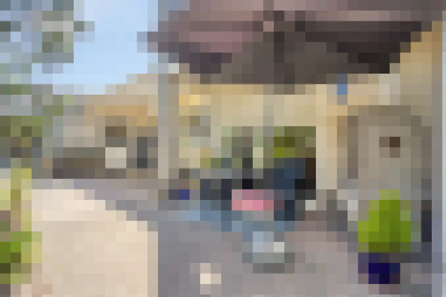 Aartjeskreek 18 Goes thumbnail 50