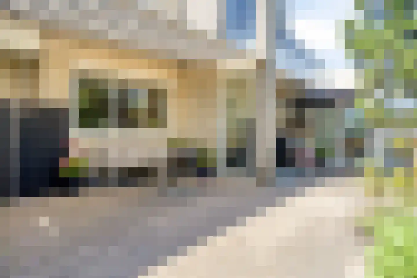 Aartjeskreek 18 Goes thumbnail 51