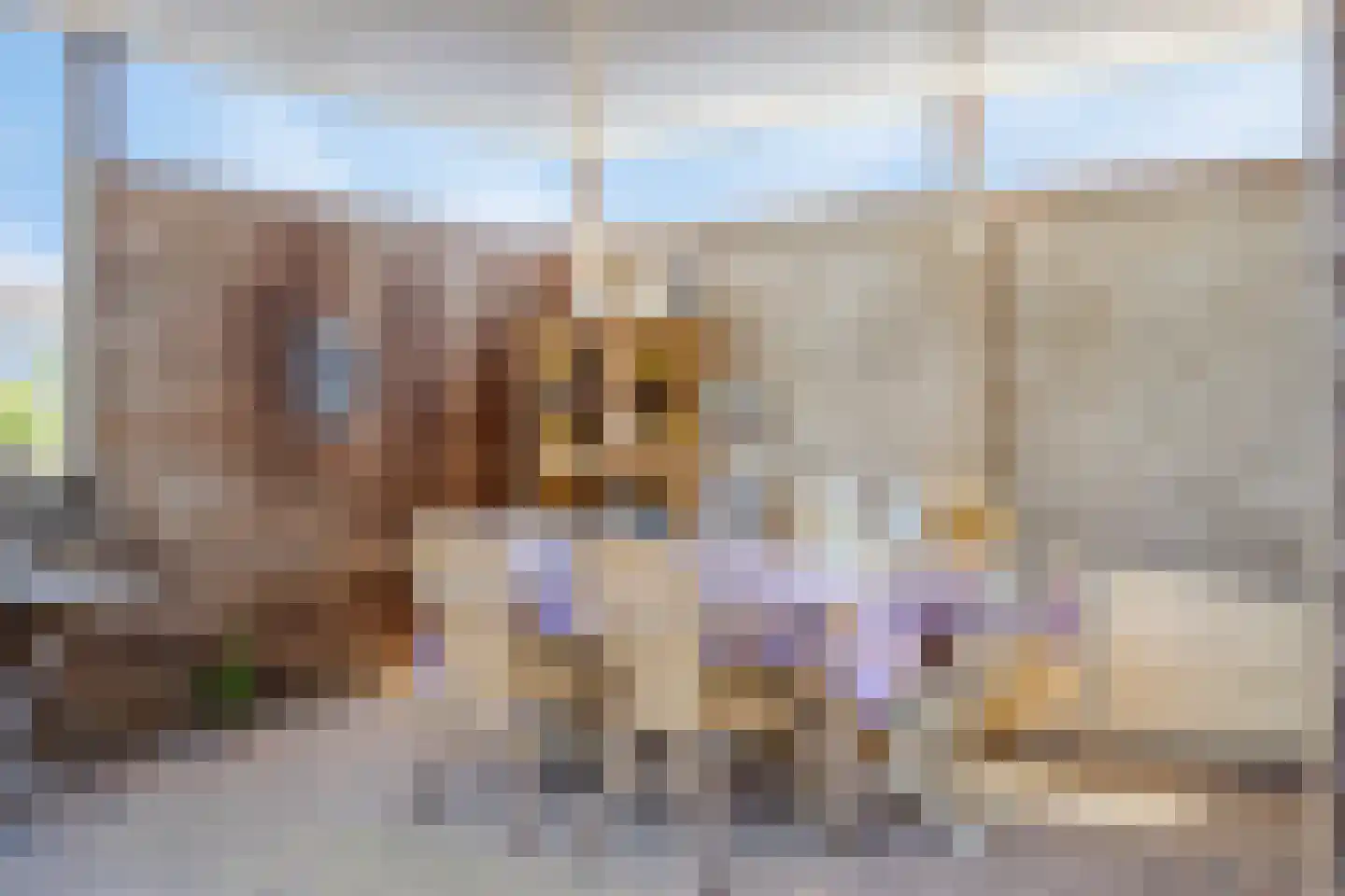 Aartjeskreek 18 Goes thumbnail 53
