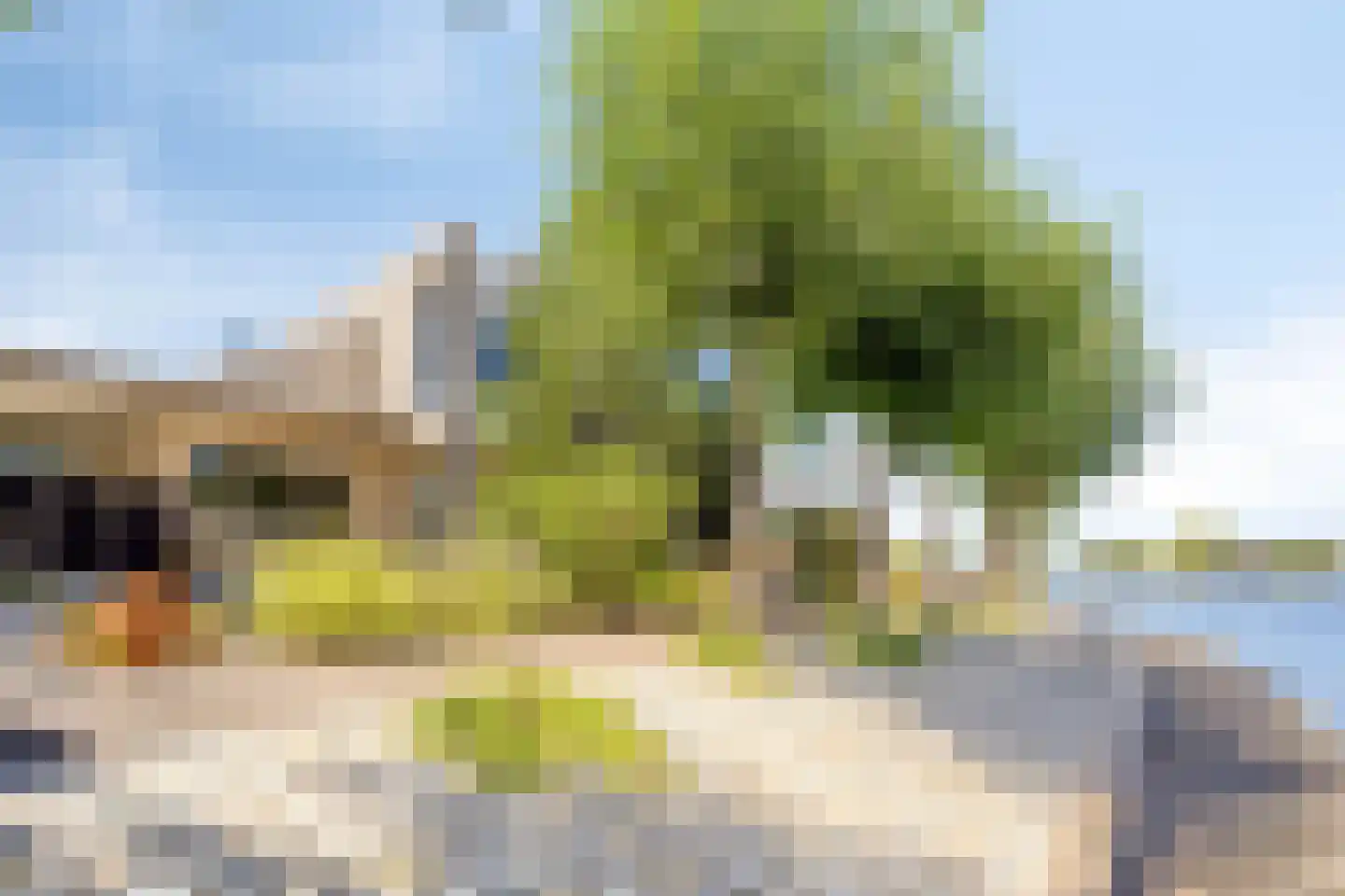 Aartjeskreek 18 Goes thumbnail 55