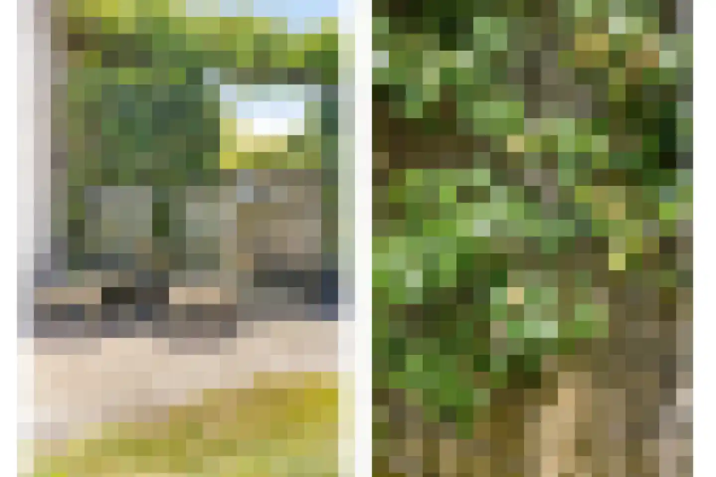 Aartjeskreek 18 Goes thumbnail 59