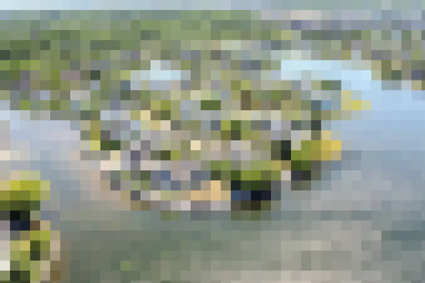 Aartjeskreek 18 Goes thumbnail 68