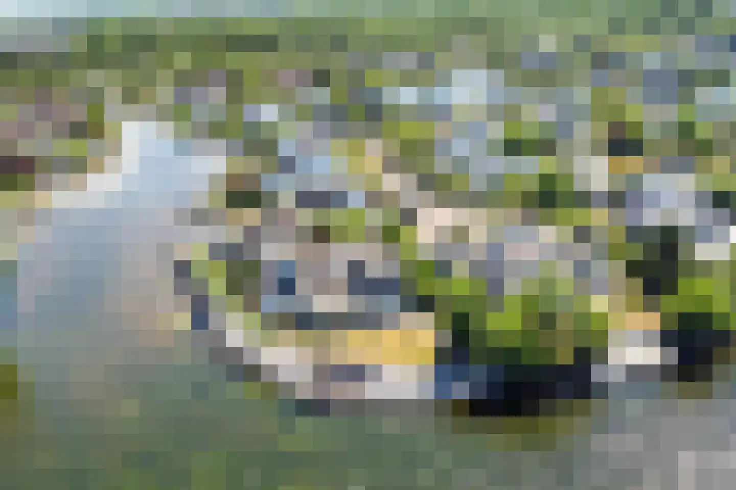 Aartjeskreek 18 Goes thumbnail 69