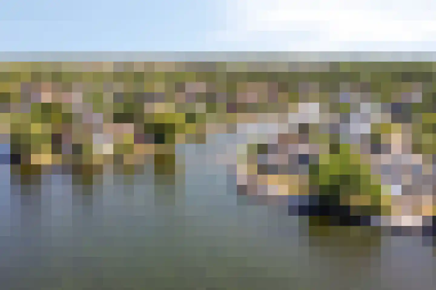 Aartjeskreek 18 Goes thumbnail 73