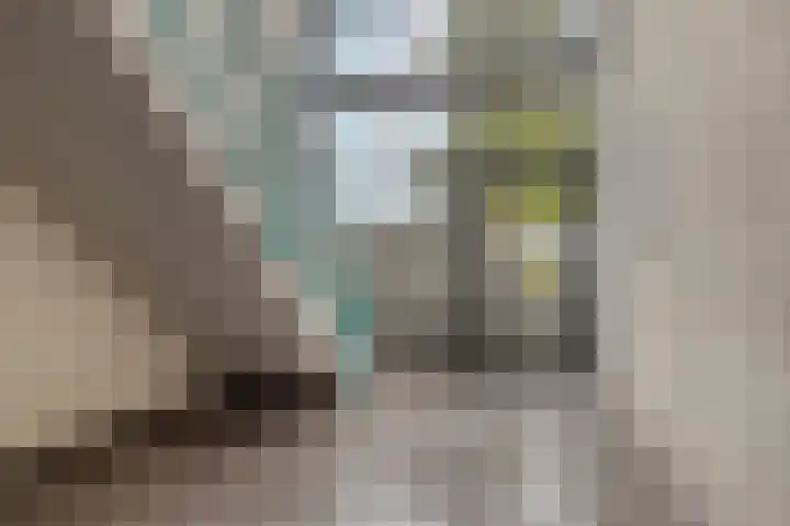 Aartsbisschop Romerostraat 147 Utrecht thumbnail 7