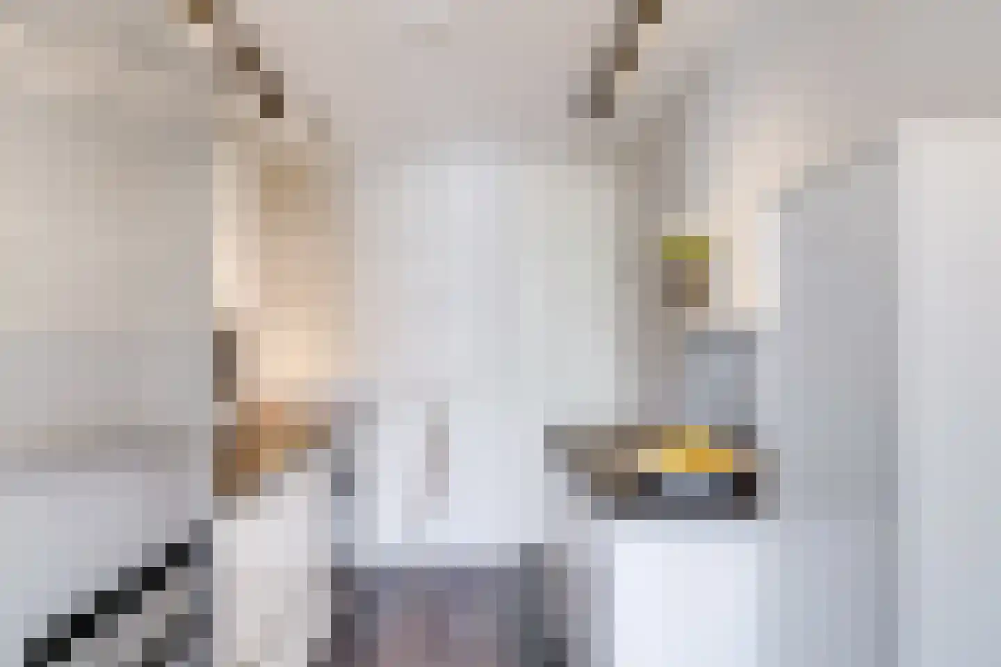 Aartsbisschop Romerostraat 223 Utrecht thumbnail 17