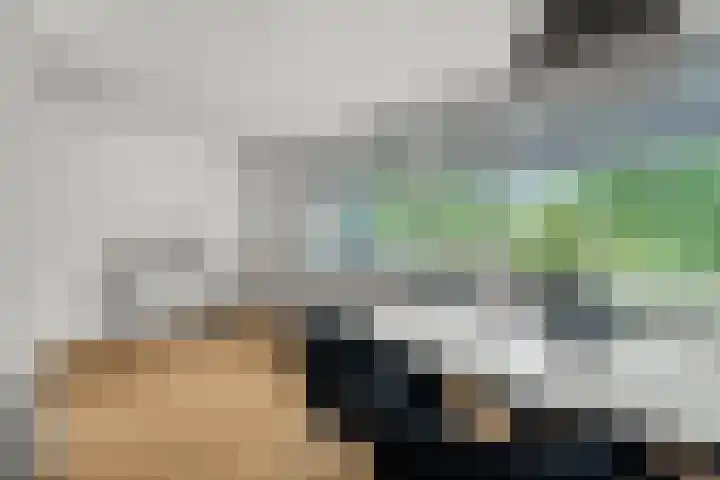 Aartsbisschop Romerostraat 349 Utrecht thumbnail 11