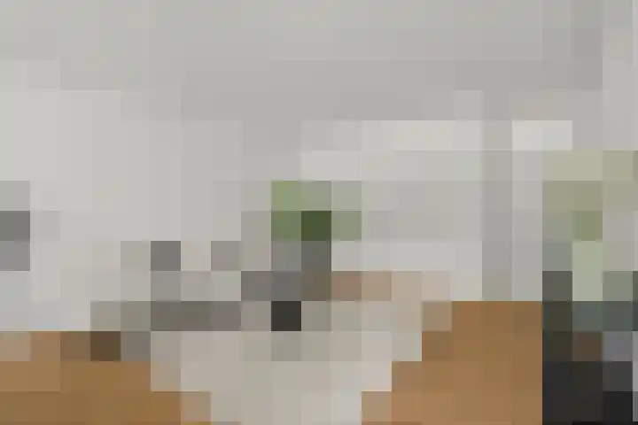 Aartsbisschop Romerostraat 349 Utrecht thumbnail 4