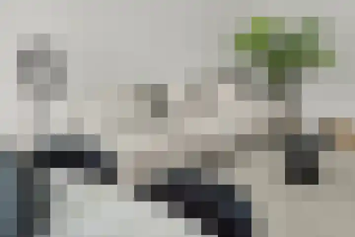 Aartsbisschop Romerostraat 349 Utrecht thumbnail 5