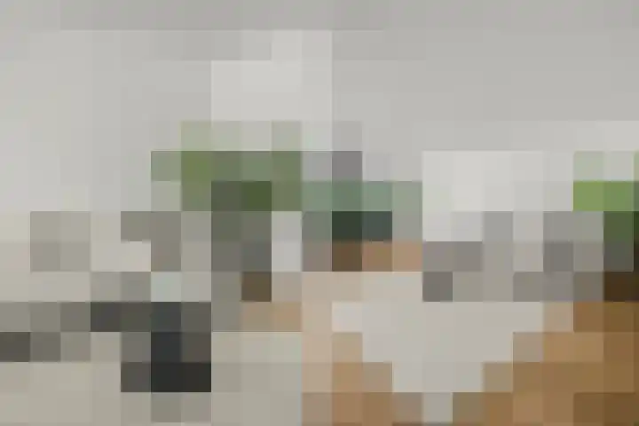 Aartsbisschop Romerostraat 349 Utrecht thumbnail 8
